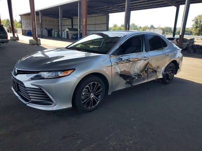 4T1C31AK7PU****** 2023 Toyota Camry
