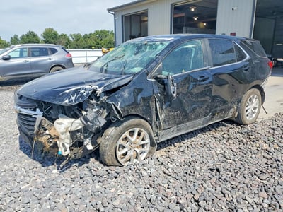 3GNAXUEG9RL****** 2024 Chevrolet Equinox