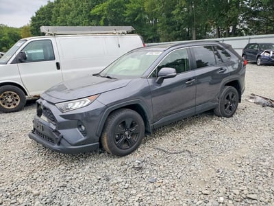 JTMP1RFV6KD****** 2019 Toyota RAV4