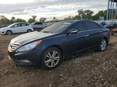 5NPEC4AC6DH****** 2013 Hyundai Sonata