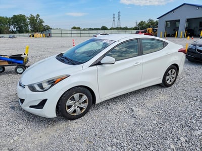 5NPDH4AE5GH****** 2016 Hyundai Elantra