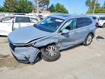 7FARS4H7XRE****** 2024 Honda CR-V