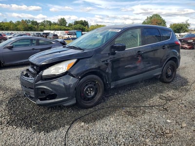 1FMCU0GX4EU****** 2014 Ford Escape