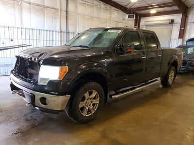 1FTFW1EV3AF****** 2010 Ford F-150