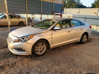 5NPE24AF8GH****** 2016 Hyundai Sonata