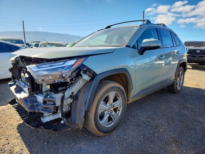 JTMW1RFV7RD****** 2024 Toyota RAV4