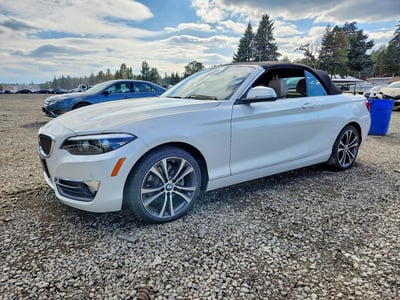 WBA2K1C58KV****** 2019 BMW 2 Series