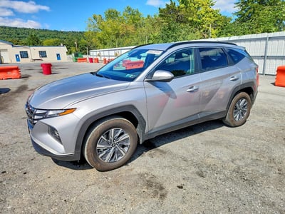 KM8JBCA17PU****** 2023 Hyundai Tucson Hybrid