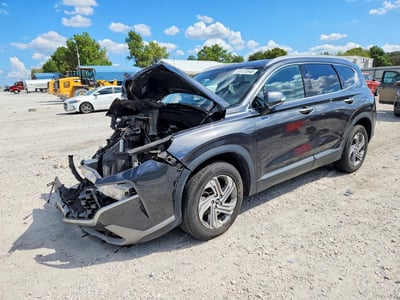5NMS24AJ9PH****** 2023 Hyundai Santa Fe