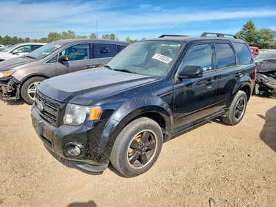 1FMCU0DG7AK****** 2010 Ford Escape