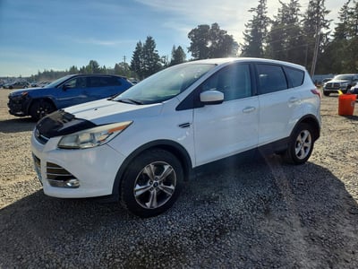 1FMCU0G98FU****** 2015 Ford Escape