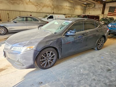 19UUB2F3XGA****** 2016 Acura TLX
