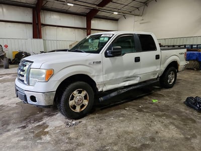 1FTFW1EF6BK****** 2011 Ford F-150