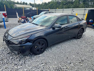 5NPLM4AG8PH****** 2023 Hyundai Elantra