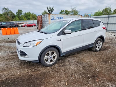 1FMCU0G78FU****** 2015 Ford Escape