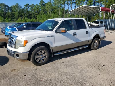 1FTRW12889F****** 2009 Ford F-150