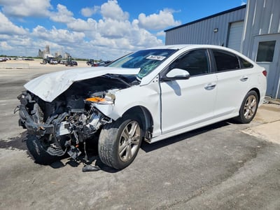 5NPE34AF9KH****** 2019 Hyundai Sonata