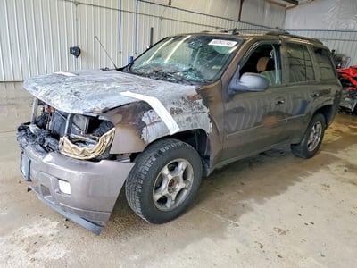 1GNDT13S982****** 2008 Chevrolet Trailblazer