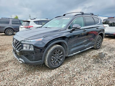 5NMS6DAJ1NH****** 2022 Hyundai Santa Fe