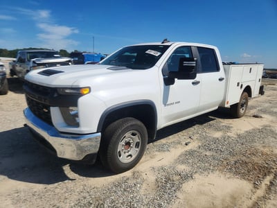 1GB1WLE71LF****** 2020 Chevrolet Silverado