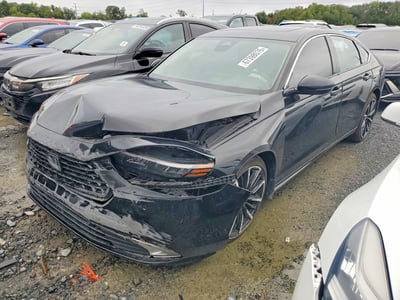 1HGCY2F88RA****** 2024 Honda Accord Hybrid