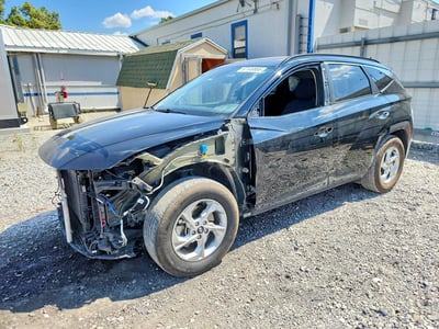 5NMJB3DE8RH****** 2024 Hyundai Tucson