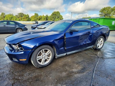 1ZVBP8AM6B5****** 2011 Ford Mustang
