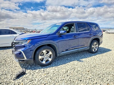 5FNYG1H42PB****** 2023 Honda Pilot