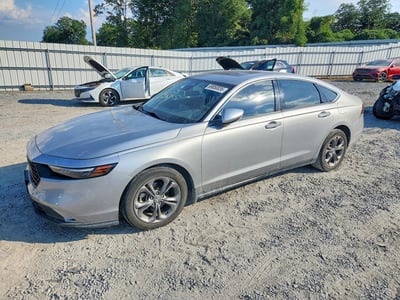1HGCY1F31RA****** 2024 Honda Accord