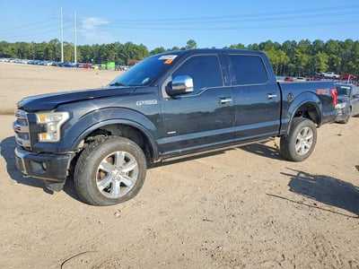 1FTEW1EG7FF****** 2015 Ford F-150