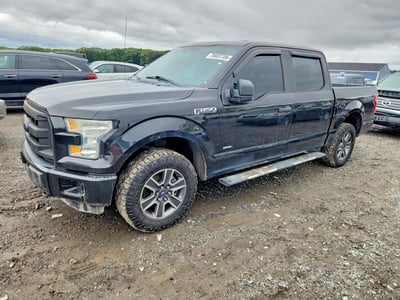 1FTEW1EP7FF****** 2015 Ford F-150