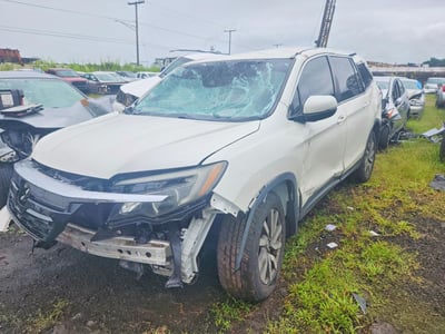 5FNYF5H38KB****** 2019 Honda Pilot