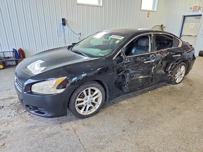 1N4AA5AP0BC****** 2011 Nissan Maxima