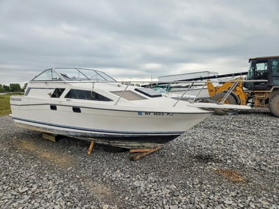 1984 Bayliner Boat2450 Ciera Sunbridge