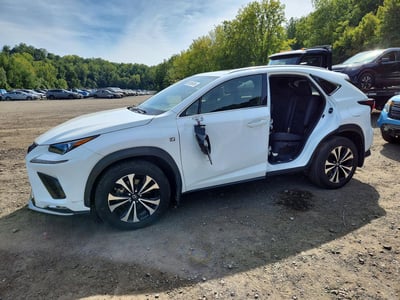 JTJSARDZ1M2****** 2021 Lexus NX