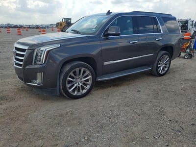 1GYS4BKJ2LR****** 2020 Cadillac Escalade