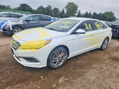 5NPE24AF8HH****** 2017 Hyundai Sonata