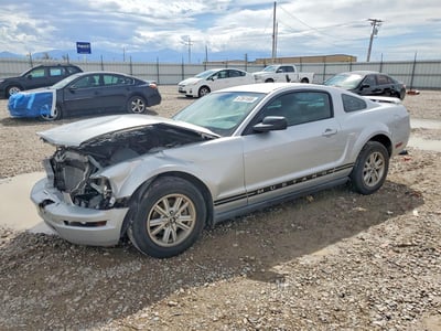 1ZVFT80N365****** 2006 Ford Mustang