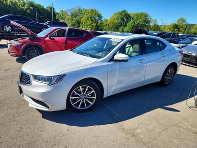 19UUB1F33KA****** 2019 Acura TLX