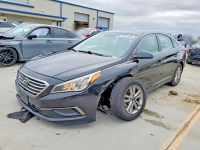 5NPE24AF5GH****** 2016 Hyundai Sonata