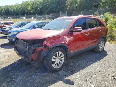 2011 Kia Sorento