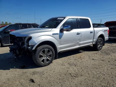 1FTEW1EG5FF****** 2015 Ford F-150