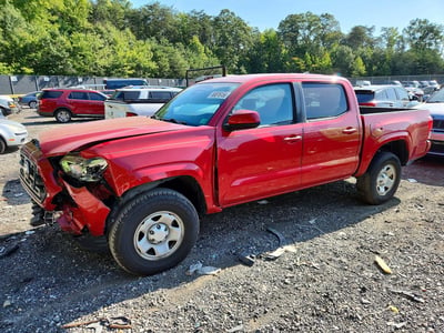 5TFAX5GN6KX****** 2019 Toyota Tacoma