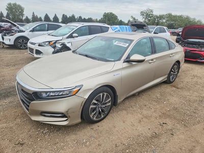1HGCV3F52KA****** 2019 Honda Accord Hybrid
