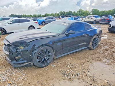 1FA6P8CF6F5****** 2015 Ford Mustang