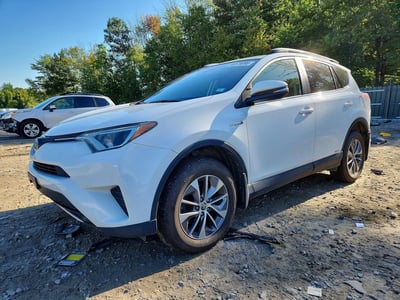 JTMRJREV7JD****** 2018 Toyota RAV4