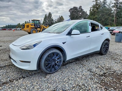 7SAYGAEE0PF****** 2023 Tesla Model Y