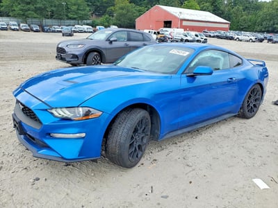 1FA6P8TH4K5****** 2019 Ford Mustang