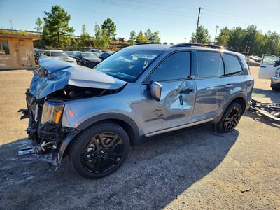 5XYP5DGC0PG****** 2023 Kia Telluride