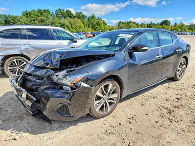 1N4AA6CV0LC****** 2020 Nissan Maxima